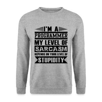 Programmierer - Unisex Pullover - Weißgrau meliert - Vorne - Alina (178cm) & Michal (187cm)