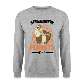 J’aime beaucoup Ferrets Frettchen - Sweat-shirt Unisexe - gris chiné - Devant - Alina (178cm) & Michal (187cm)