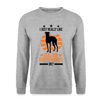 J’aime vraiment les lévriers italiens ok - Sweat-shirt Unisexe - gris chiné - Devant - Alina (178cm) & Michal (187cm)