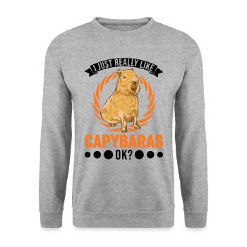I just really like Capybaras ok capybara - Unisex Sweatshirt - salt & pepper - Front - Alina (178cm) & Michal (187cm)