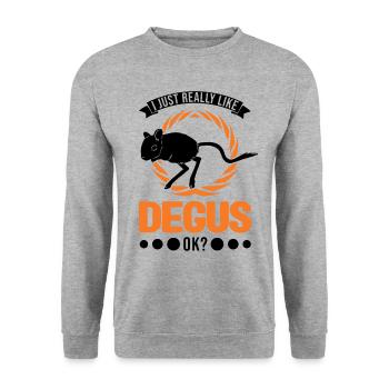 J’aime vraiment Degus, ok - Sweat-shirt Unisexe - gris chiné - Devant - Alina (178cm) & Michal (187cm)