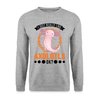 J’aime beaucoup Axolotls Tail Luch - Sweat-shirt Unisexe - gris chiné - Devant - Alina (178cm) & Michal (187cm)