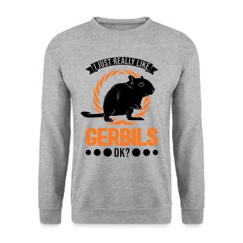 J’aime beaucoup Gerbils Rennratte Rennmaus - Sweat-shirt Unisexe - gris chiné - Devant - Alina (178cm) & Michal (187cm)