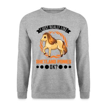 I just really like Shetland Ponies Shetty - Unisex Pullover - Weißgrau meliert - Vorne - Alina (178cm) & Michal (187cm)