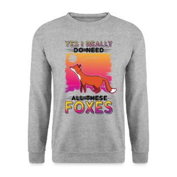 Oui, j’ai vraiment besoin de tous ces Foxes Fuchs - Sweat-shirt Unisexe - gris chiné - Devant - Alina (178cm) & Michal (187cm)