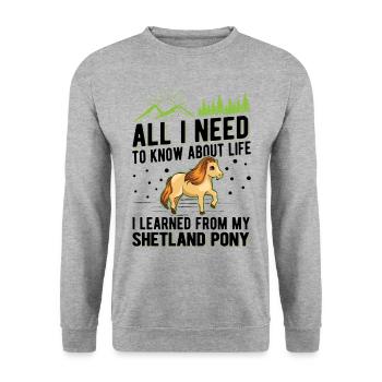 Poney Shetland Poney Shetland Shetty - Sweat-shirt Unisexe - gris chiné - Devant - Alina (178cm) & Michal (187cm)
