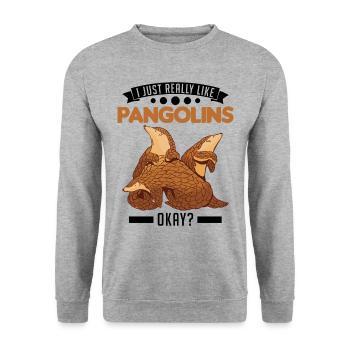 J’aime vraiment les pangolins ok - Sweat-shirt Unisexe - gris chiné - Devant - Alina (178cm) & Michal (187cm)