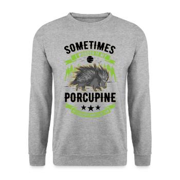 Porcupine lover Porcupine - Unisex Sweatshirt - salt & pepper - Front - Alina (178cm) & Michal (187cm)