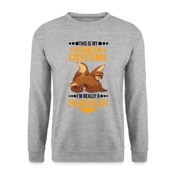 Pangolin Costume Humain Halloween Schuppentier - Sweat-shirt Unisexe - gris chiné - Devant - Alina (178cm) & Michal (187cm)