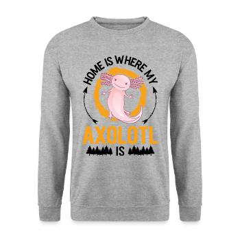Zuhause ist wo mein Axolotl ist - Unisex Pullover - Weißgrau meliert - Vorne - Alina (178cm) & Michal (187cm)