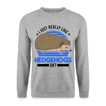 J’aime vraiment Hedgehogs Igel - Sweat-shirt Unisexe - gris chiné - Devant - Alina (178cm) & Michal (187cm)
