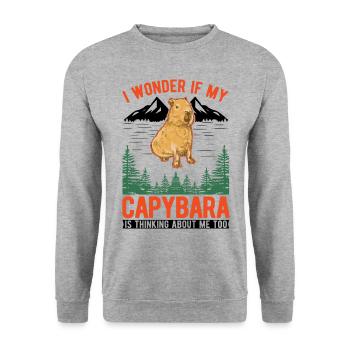 Capybara Wasserschwein Capibara - Unisex Sweatshirt - salt & pepper - Front - Alina (178cm) & Michal (187cm)