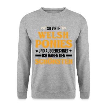 Welsh Pony Reiterin - Unisex Pullover - Weißgrau meliert - Vorne - Alina (178cm) & Michal (187cm)