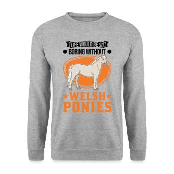 Cavalier de poney gallois - Sweat-shirt Unisexe - gris chiné - Devant - Alina (178cm) & Michal (187cm)