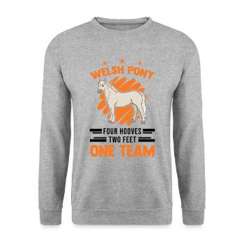 Welsh Pony 4 Hufen 2 Beine Ein Team - Unisex Pullover - Weißgrau meliert - Vorne - Alina (178cm) & Michal (187cm)
