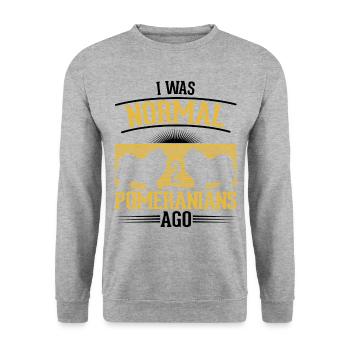 Zwergspitz Besitzer Pomeranian Geschenk - Unisex Pullover - Weißgrau meliert - Vorne - Alina (178cm) & Michal (187cm)