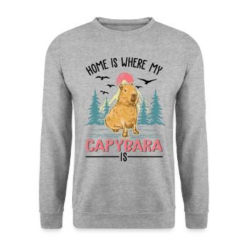 Home is where my Capybara is - Unisex Pullover - Weißgrau meliert - Vorne - Alina (178cm) & Michal (187cm)