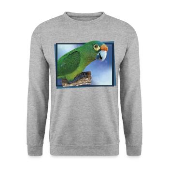 Orangenstirnsittich - Unisex Pullover - Weißgrau meliert - Vorne - Alina (178cm) & Michal (187cm)