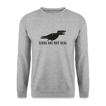 Verschwörungstheorie Überwachung Vogel Kamera - Unisex Sweatshirt - salt & pepper - Front - Alina (178cm) & Michal (187cm)