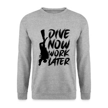 Dive now diving saying - Unisex Sweatshirt - salt & pepper - Front - Alina (178cm) & Michal (187cm)