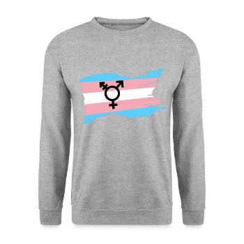 Transgenre Dragqueen TransSexuels Cadeau Genre - Sweat-shirt Unisexe - gris chiné - Devant - Alina (178cm) & Michal (187cm)