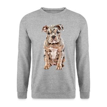 OLD ENGLISH BULLDOG Dog Dogs Bulldog - Unisex Sweatshirt - salt & pepper - Front - Alina (178cm) & Michal (187cm)