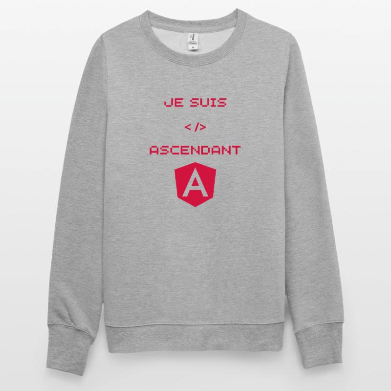 Angular Developer Gift Unisex Sweatshirt