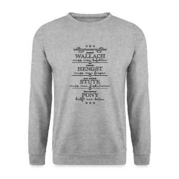 Pferdekunde für Anfänger - schwarz - Unisex Pullover - Weißgrau meliert - Vorne - Alina (178cm) & Michal (187cm)