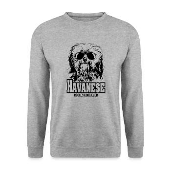 HAVANESE chien le plus cool de tous les temps Chien disant chien chien - Sweat-shirt Unisexe - gris chiné - Devant - Alina (178cm) & Michal (187cm)