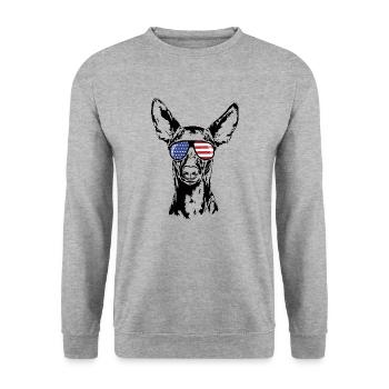 PHARAOH HOUND America Flag Dogs Wilsigns - Unisex Sweatshirt - salt & pepper - Front - Alina (178cm) & Michal (187cm)