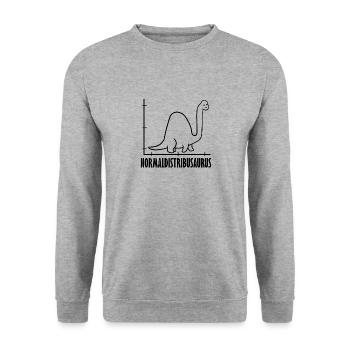Dinosaurier Mathe Pythagoras Mathematiker - Unisex Pullover - Weißgrau meliert - Vorne - Alina (178cm) & Michal (187cm)