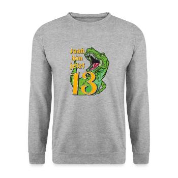 GEBURTSTAG Jaah bin jetzt 13 - Unisex Pullover - Weißgrau meliert - Vorne - Alina (178cm) & Michal (187cm)