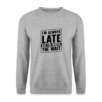 Spätberufener Vielbeschäftigter Berufstätiger - Unisex Pullover - Weißgrau meliert - Vorne - Alina (178cm) & Michal (187cm)