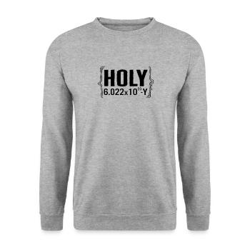 Chemise Chemical Pun Element, Holy 6.0022x1023 Y - Sweat-shirt Unisexe - gris chiné - Devant - Alina (178cm) & Michal (187cm)