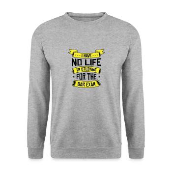 Studying Law Student Bar Exam Postgraduates Law - Unisex Sweatshirt - salt & pepper - Front - Alina (178cm) & Michal (187cm)