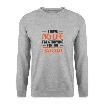 Studying Law Student Bar Exam Postgraduates Law - Unisex Sweatshirt - salt & pepper - Front - Alina (178cm) & Michal (187cm)