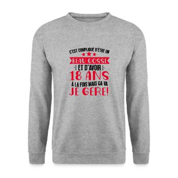 Beau gosse de 18 ans je gère cadeau anniversaire - Sweat-shirt Unisexe - gris chiné - Devant - Alina (178cm) & Michal (187cm)