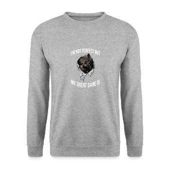 My Great Dane est parfait pour tout le monde - Sweat-shirt Unisexe - gris chiné - Devant - Alina (178cm) & Michal (187cm)