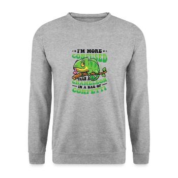 Verwirrter Als Ein Chamäleon. - Unisex Pullover - Weißgrau meliert - Vorne - Alina (178cm) & Michal (187cm)