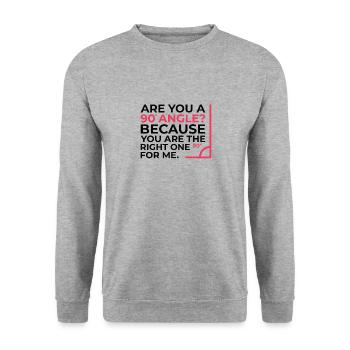 Mathematik Rechter Winkel Cheesy Pun Math Geek - Unisex Pullover - Weißgrau meliert - Vorne - Alina (178cm) & Michal (187cm)