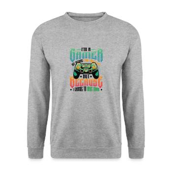 Gamers Have Many Lives Video Games Boys Play - Unisex Sweatshirt - salt & pepper - Front - Alina (178cm) & Michal (187cm)