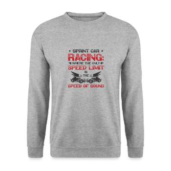 Sprint Car Dirt Track Racing - Unisex Sweatshirt - salt & pepper - Front - Alina (178cm) & Michal (187cm)