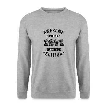 Génial depuis 1971 édition limitée - Sweat-shirt Unisexe - gris chiné - Devant - Alina (178cm) & Michal (187cm)