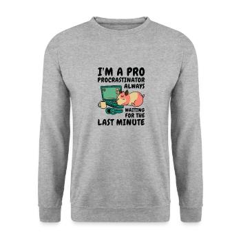 Procrastinating Hamster Procrastinator Time Pet - Unisex Sweatshirt - salt & pepper - Front - Alina (178cm) & Michal (187cm)