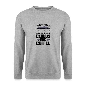 Meteorologie Wortspiel Für Meteorologe Ich Sehe - Unisex Pullover - Weißgrau meliert - Vorne - Alina (178cm) & Michal (187cm)