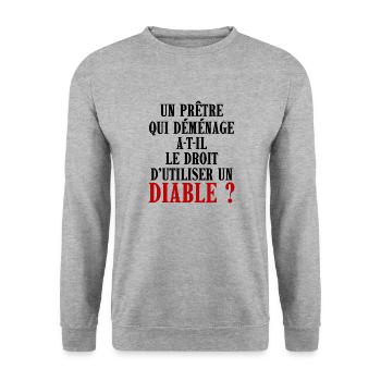 cadeau homme, femme, humour, t-shirt humoristique - Sweat-shirt Unisexe - gris chiné - Devant - Alina (178cm) & Michal (187cm)