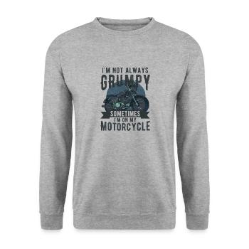 Ich bin nicht immer mürrisch, manchmal bin ich auf der Kippe - Unisex Pullover - Weißgrau meliert - Vorne - Alina (178cm) & Michal (187cm)