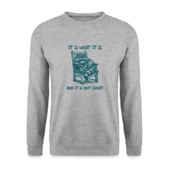 C’est ce que c’est et ce n’est pas un grand panda poubelle - Sweat-shirt Unisexe - gris chiné - Devant - Alina (178cm) & Michal (187cm)