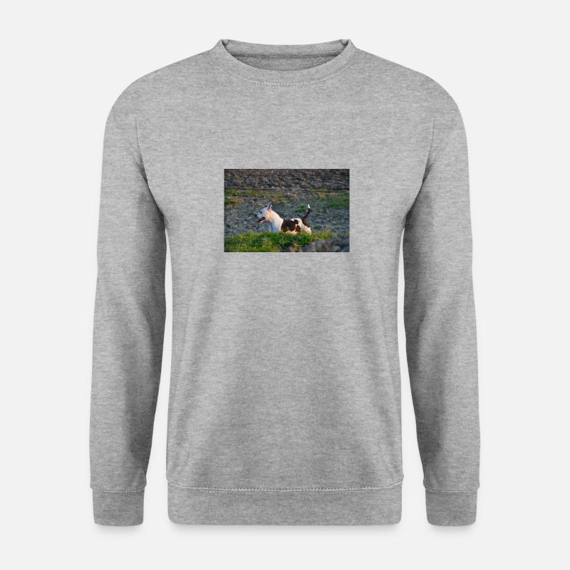 SamPhotographer - Unisex Pullover - Weißgrau meliert