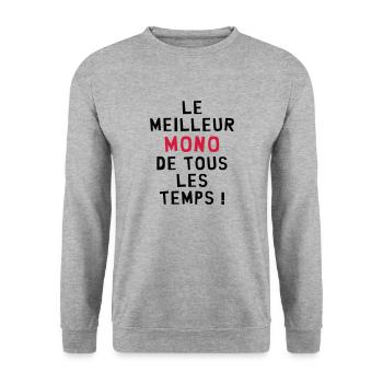 Moniteur / Monitrice / Mono / Formation / Ski - Sweat-shirt Unisexe - gris chiné - Devant - Alina (178cm) & Michal (187cm)